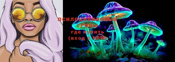 ALPHA PVP Верея